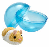Busy little hamster