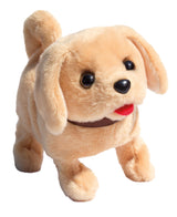 Playful puppy pal labrador