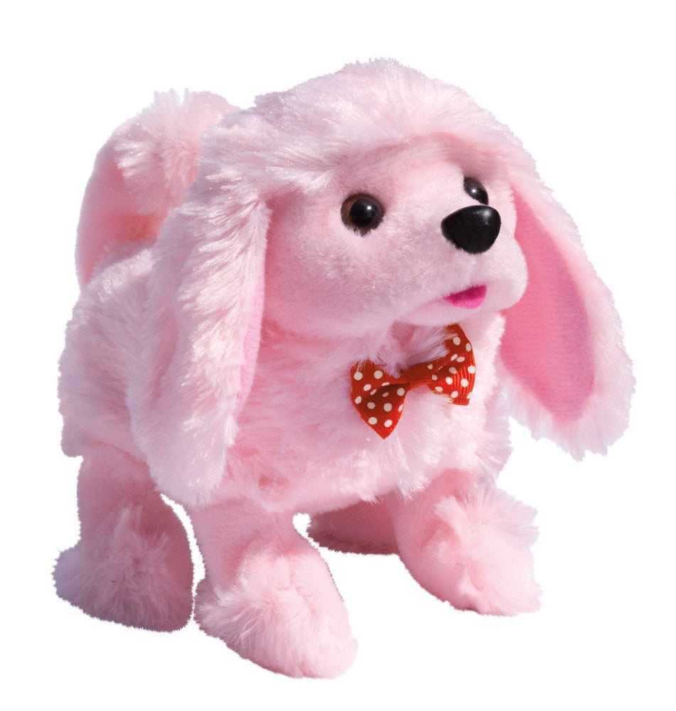Playful puppy pal poodle