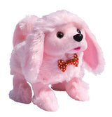 Playful puppy pal poodle