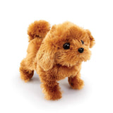 Playful pal brown
