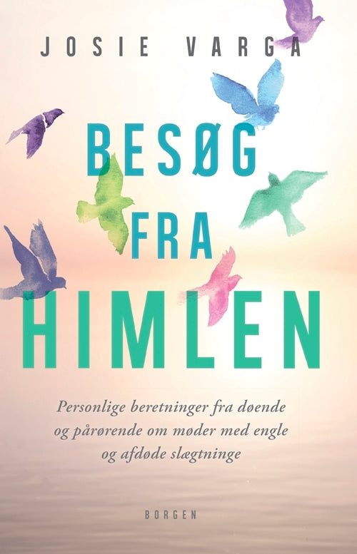 Besøg fra himlen