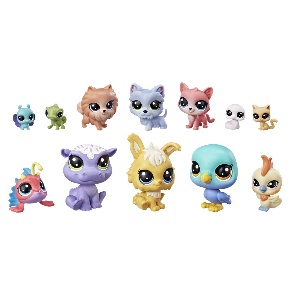 Pet pack asst.