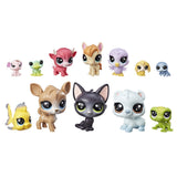 Pet pack asst.