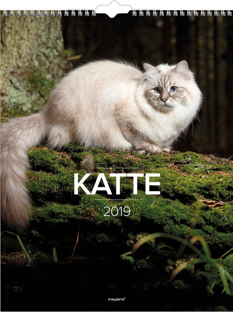 Vægkalender katte   2019 mayland