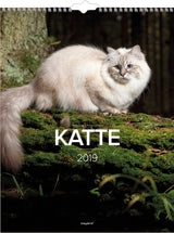 Vægkalender katte   2019 mayland