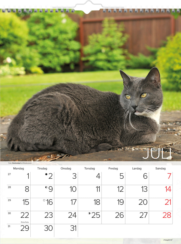 Vægkalender katte   2019 mayland