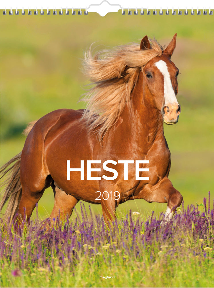 VÆGKALENDER HESTE  2019 MAYLAND