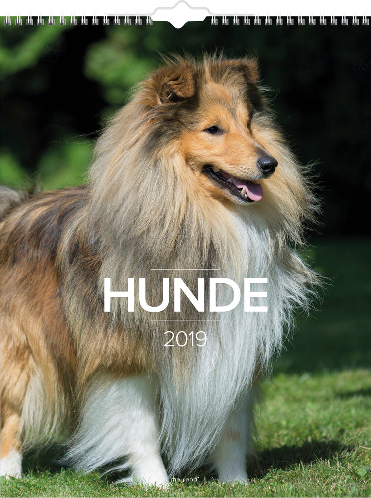 VÆGKALENDER HUNDE  2019 MAYLAND