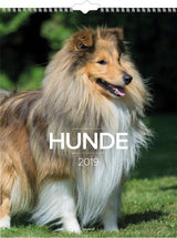 VÆGKALENDER HUNDE  2019 MAYLAND