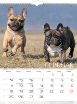 VÆGKALENDER HUNDE  2019 MAYLAND
