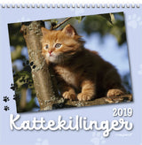 Vægkalender kattekillinger   2019 mayland