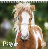 VÆGKALENDER HESTE  2019 MAYLAND