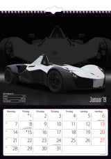 VÆGKALENDER BILER  2019 MAYLAND