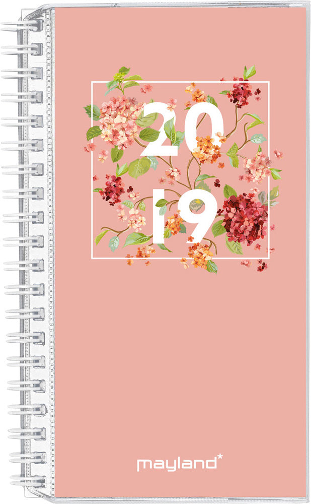 WEEK PLANNER 4 ILLU.  2019 MAYLAND