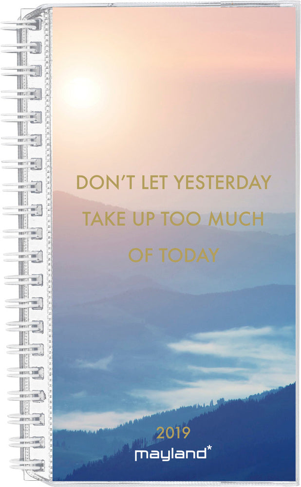 WEEK PLANNER 4 ILLU.  2019 MAYLAND