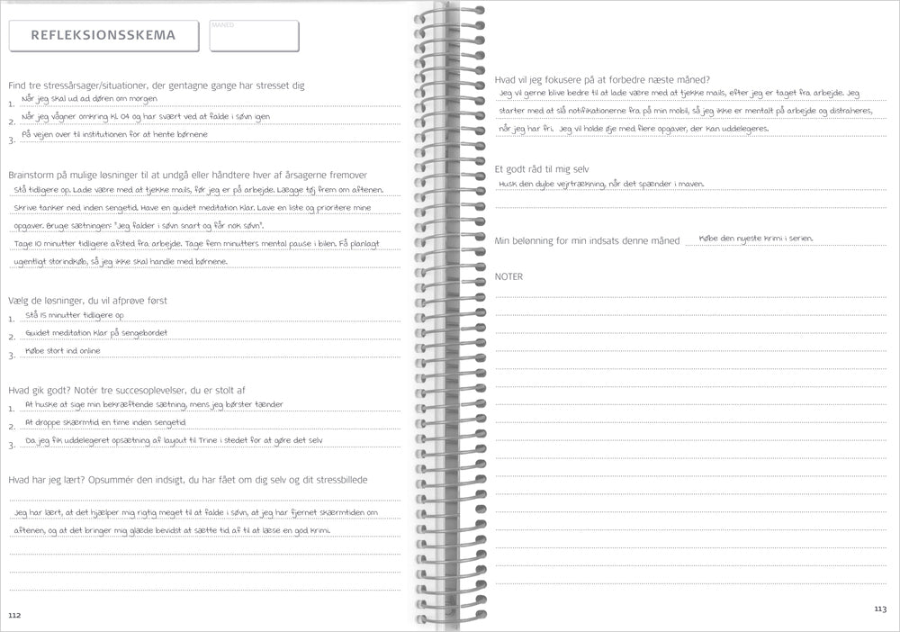 Mayland Balance Log