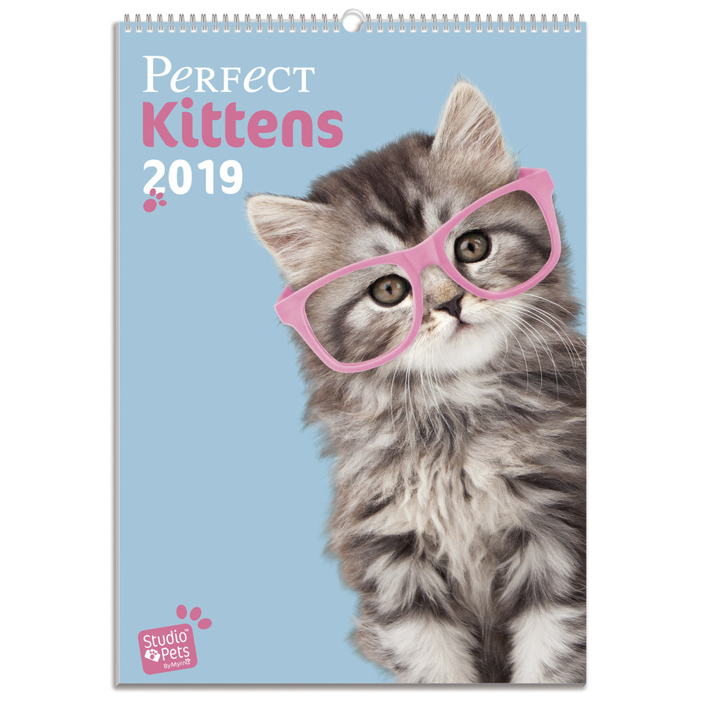 VÆGKALENDER 2019 KITTENS