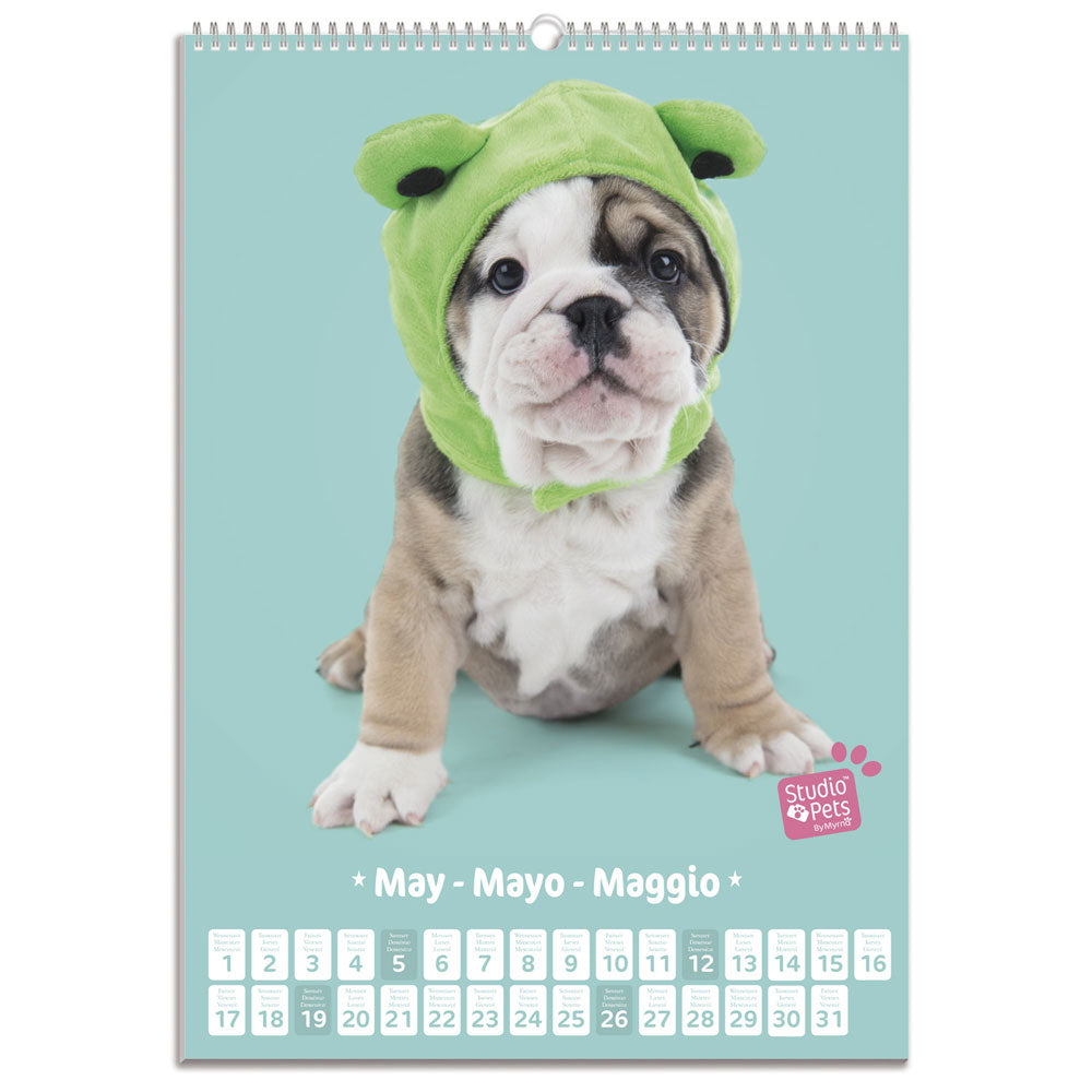 VÆGKALENDER 2019 PUPPIES