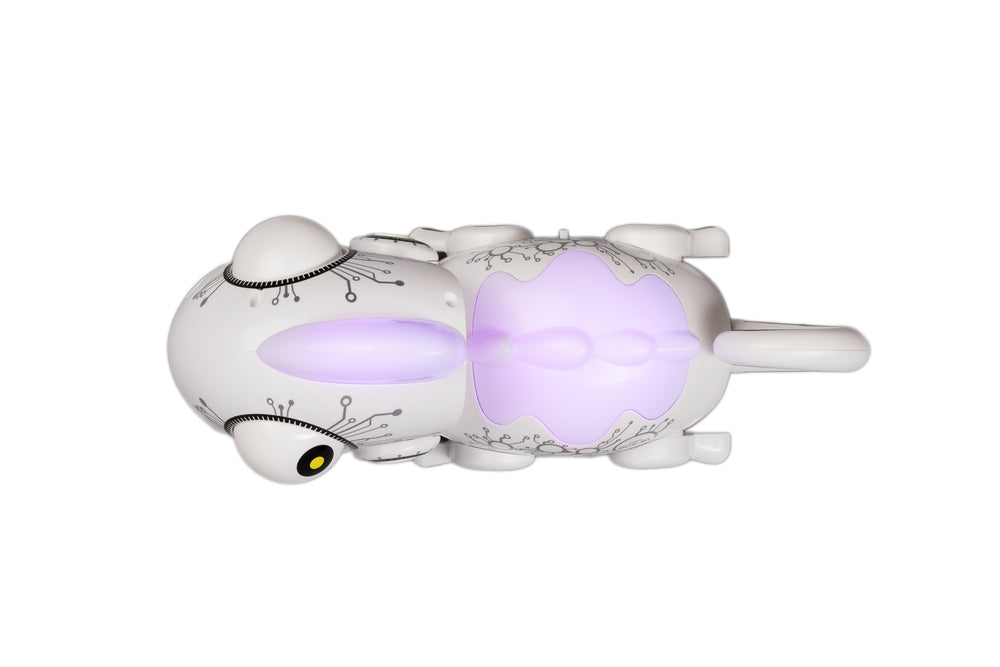 Robo chameleon