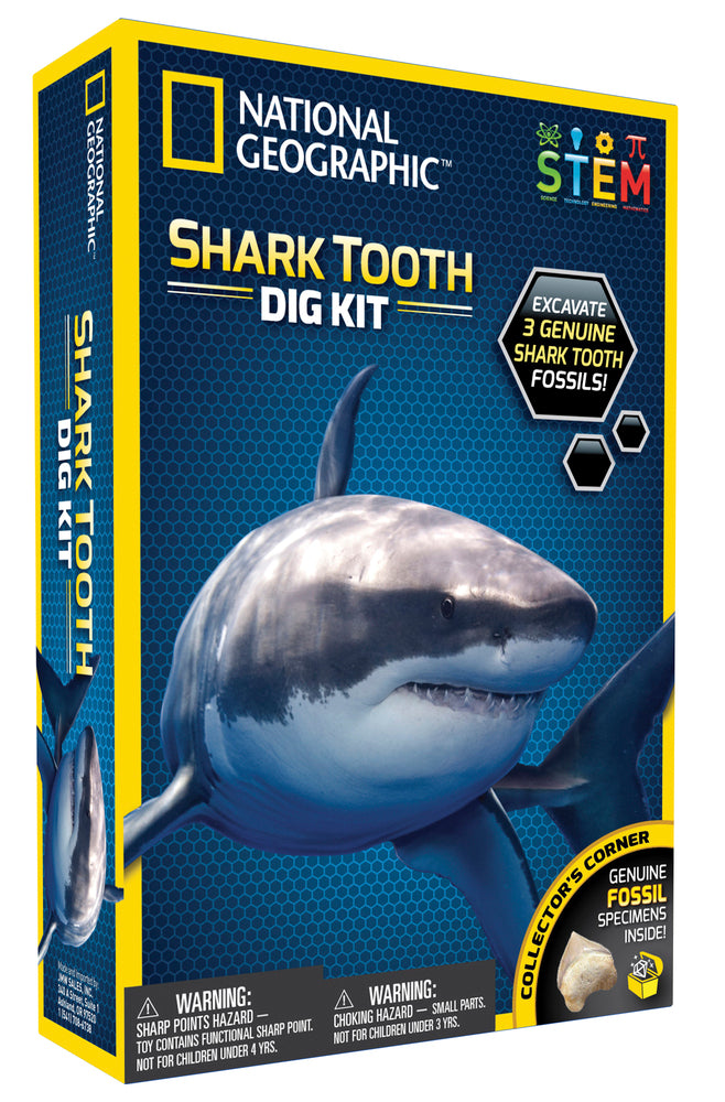 Shark teeth dig kit