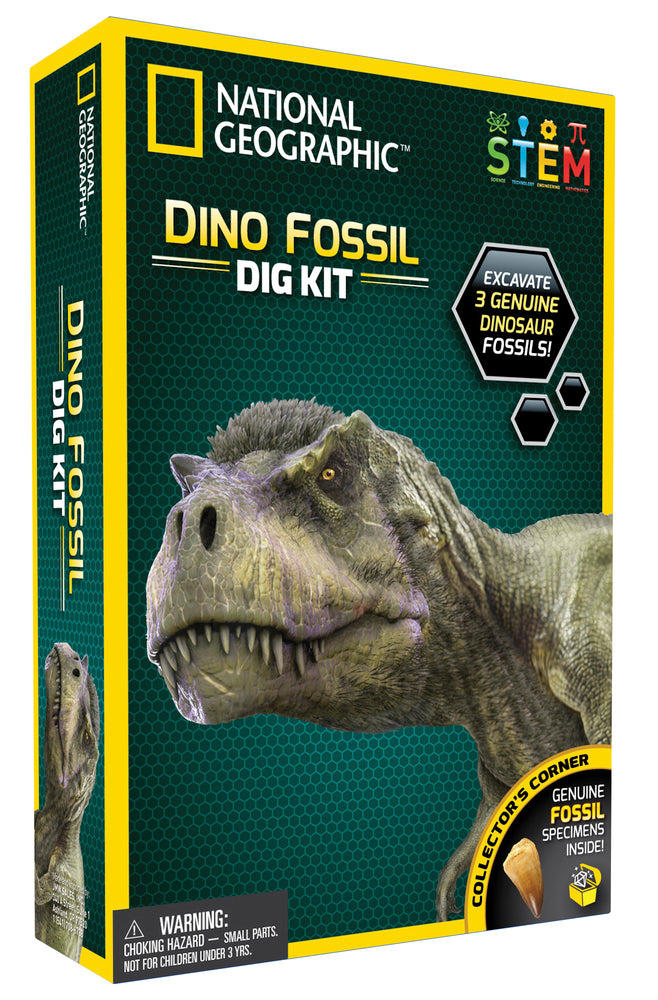 DINOSAUR DIG KIT
