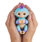 FINGERLINGS 2TONE ASS