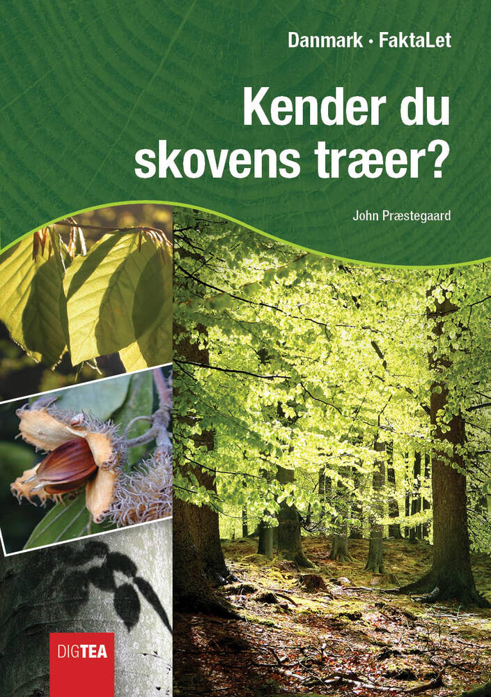 Kender du skovens træer?