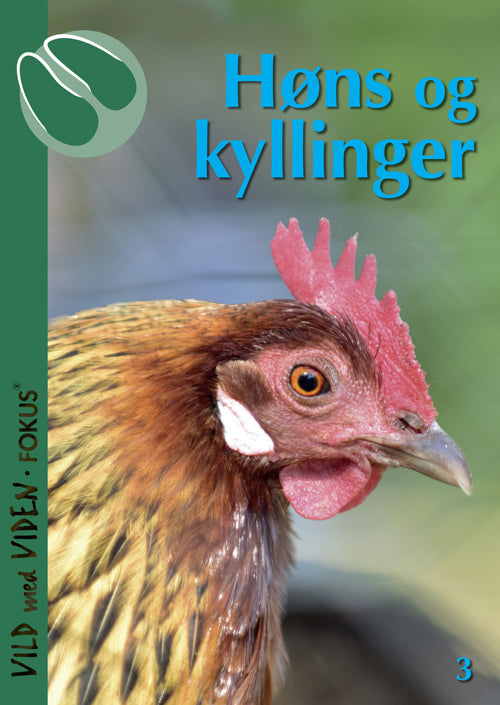 Høns og kyllinger