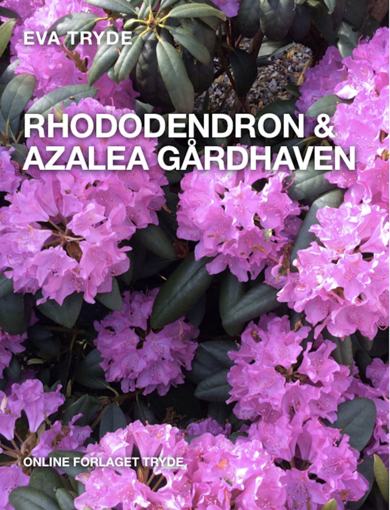 RHODODENDRON & AZALEA GÅRDHAVEN