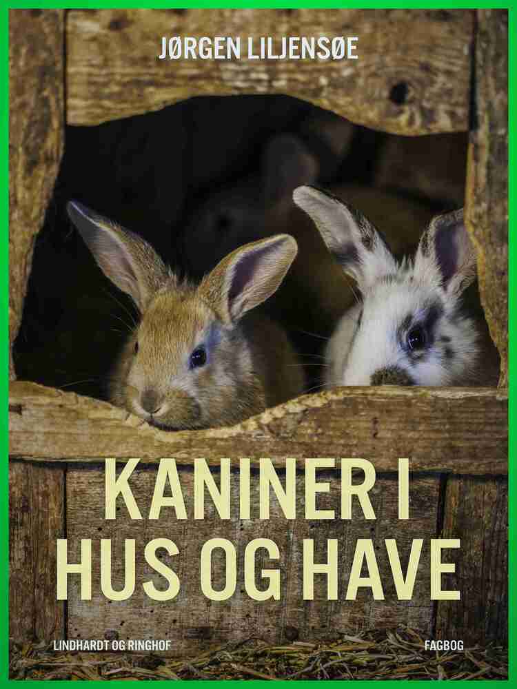 Kaniner i hus og have