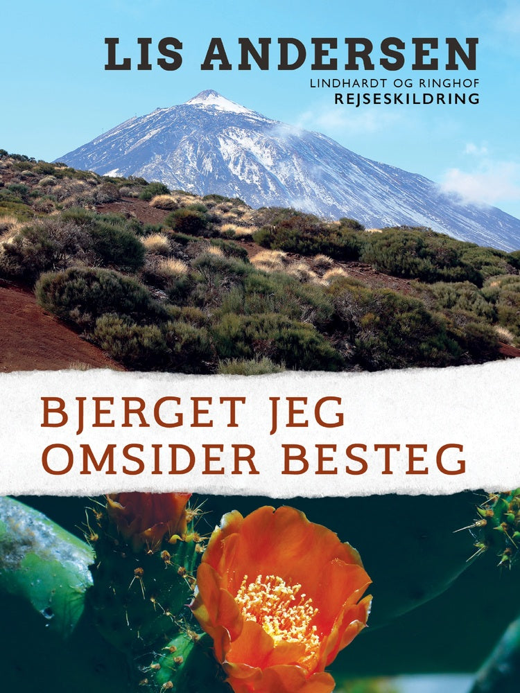 Bjerget jeg omsider besteg