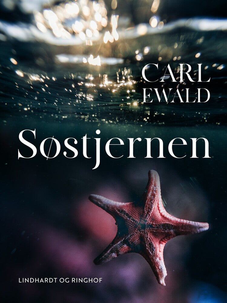 Søstjernen