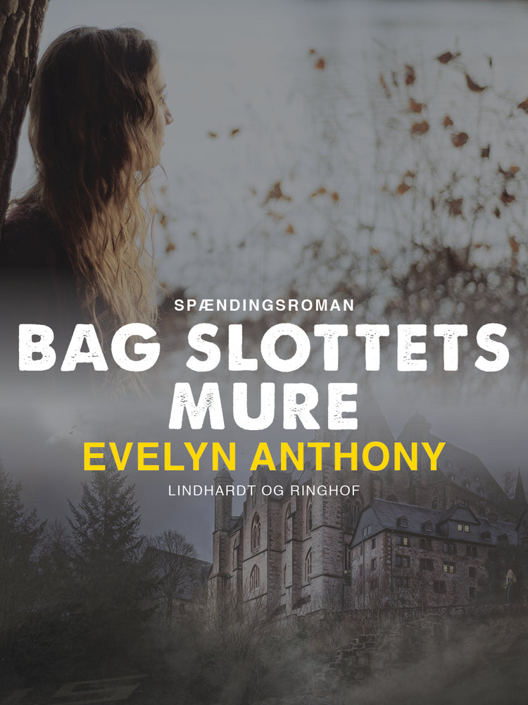 Bag slottets mure
