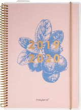 Mayland studiekalender 19/20
