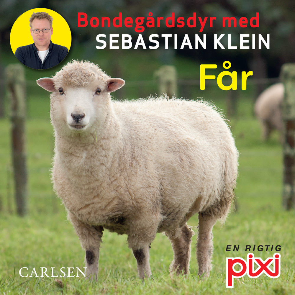 Bondegårdens dyr med Sebastian Klein: Får
