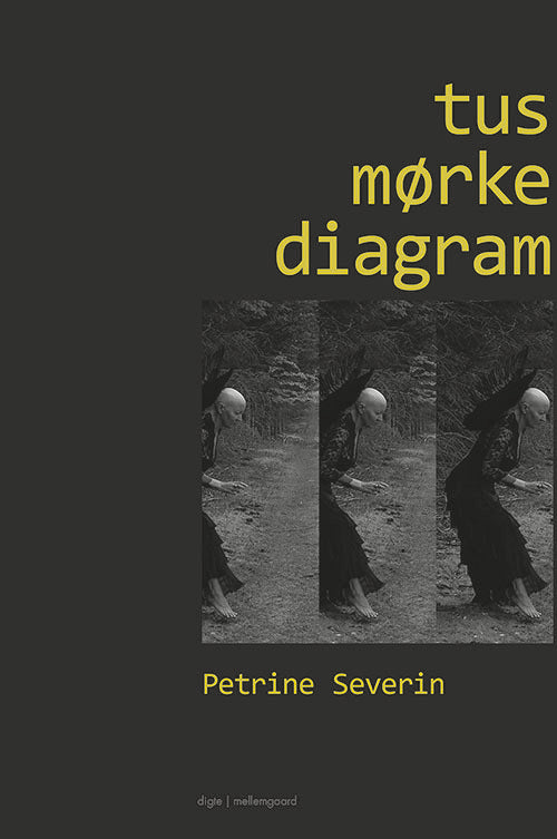 Tusmørkediagram