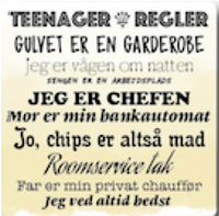 Citatmagnet teenager regler 9x9cm