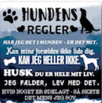Citatmagnet hundens regler 9x9cm