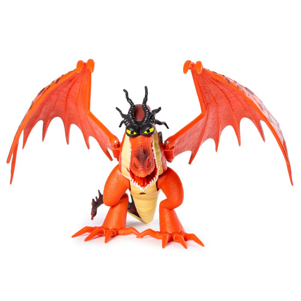 Dragons basis drage ass