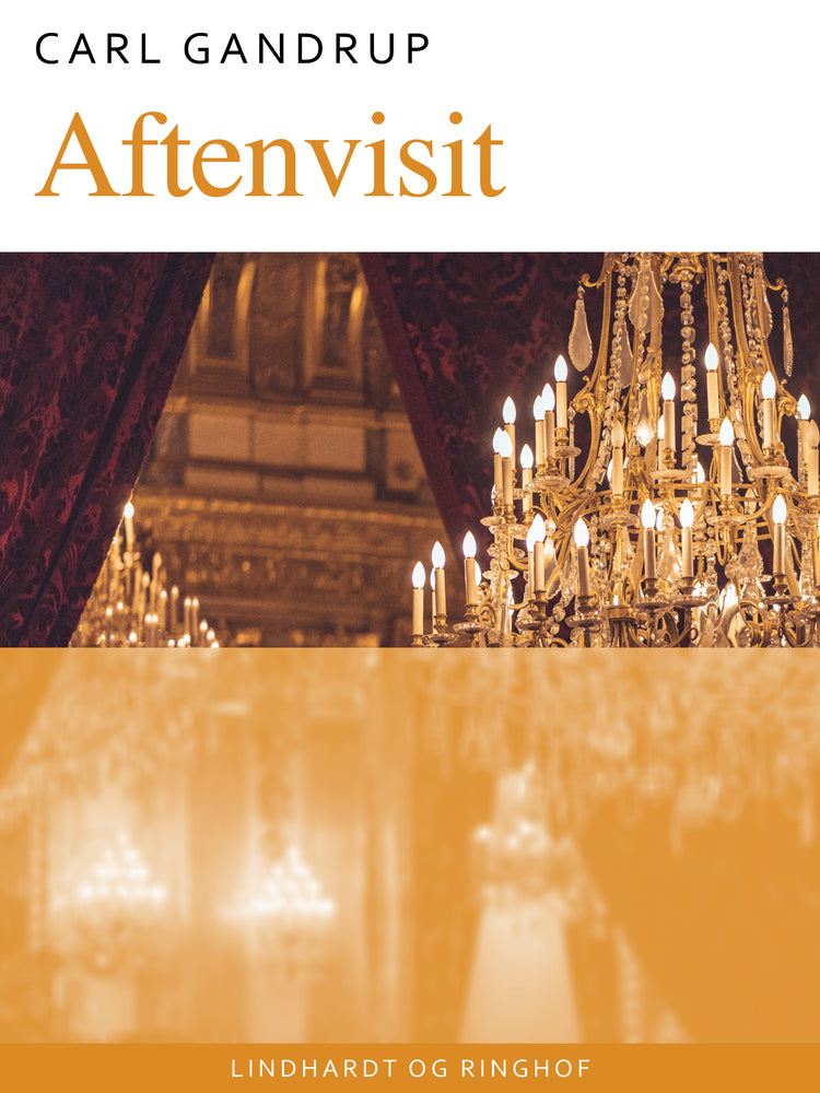 Aftenvisit