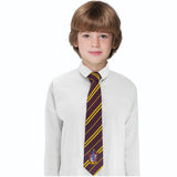 HP SLIPS KIDS GRYFFINDOR
