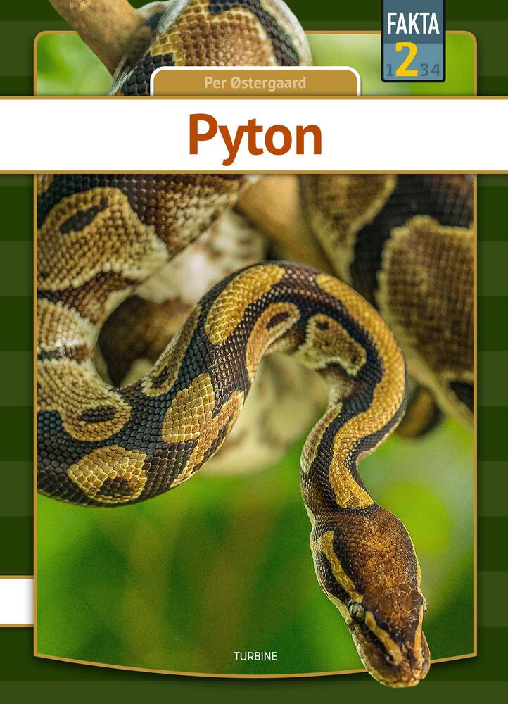 Pyton