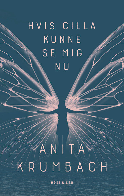 Hvis Cilla kunne se mig nu