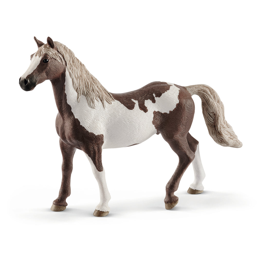 Paint horse vallak