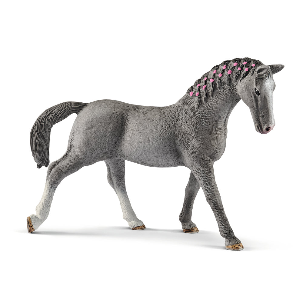Trakehner hoppe