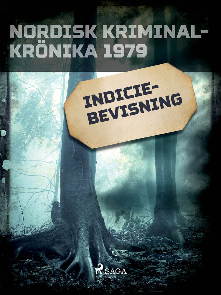 Indiciebevisning