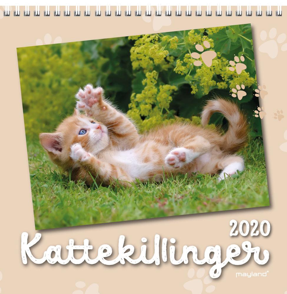 VÆGKALENDER KATTEKILLINGER  2020 MAYLAND