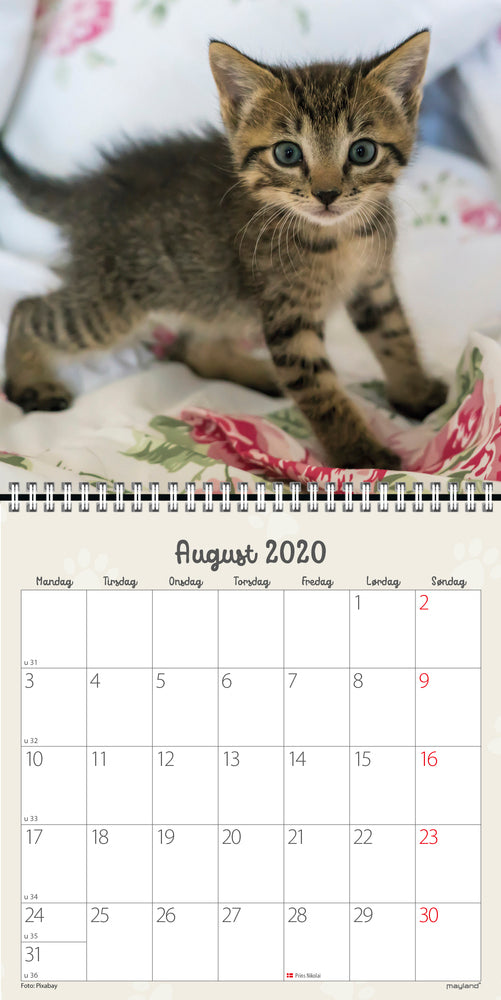 VÆGKALENDER KATTEKILLINGER  2020 MAYLAND