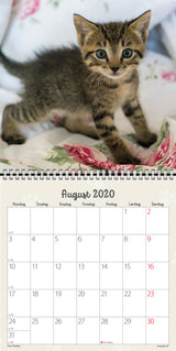 VÆGKALENDER KATTEKILLINGER  2020 MAYLAND